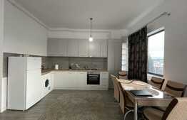 2 camere, 65m, terasa,  pet friendly, zona Piata Mihai Viteazu