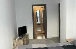 2 camere, 65m, terasa,  pet friendly, zona Piata Mihai Viteazu