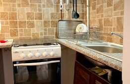 Apartament 2 camere, 55mp, zona strazii Marginasa, zona UMF/USAMV