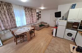 Apartament 2 camere, parter, 5 minute de Vivo ! Zona strazii Muzeul Apei