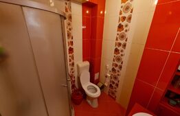 Apartament 2 camere, parter, 5 minute de Vivo ! Zona strazii Muzeul Apei