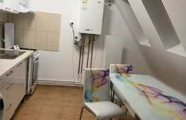 Apartament de inchiriat cu o camera, 42 mp, central, zona strazii Avram Iancu