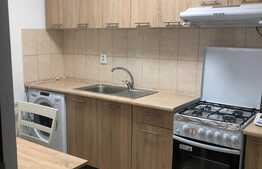 Apartament de inchiriat cu o camera, 42 mp, central, zona strazii Avram Iancu