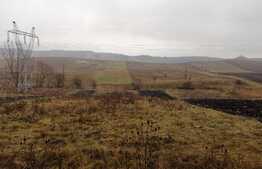 Teren 2260 mp, front 20m, Salistea Veche