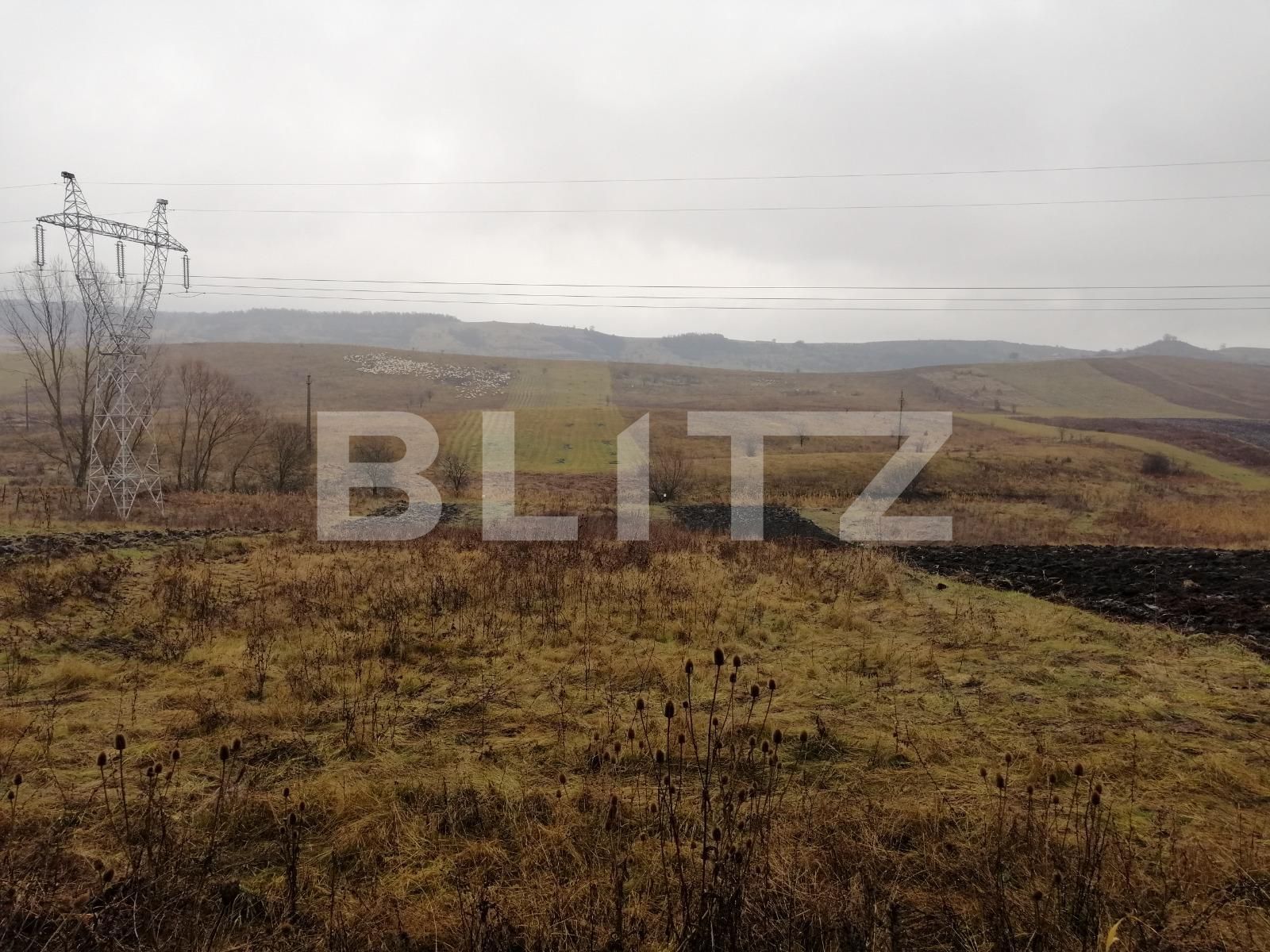 Teren de vânzare Exterior Nord - 58859TV | BLITZ Cluj-Napoca | Poza2