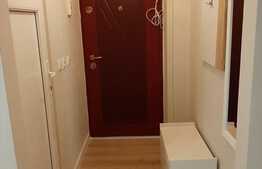 Apartament de inchiriat cu doua camere, 28 mp, zona strazii Busteni