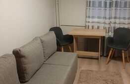 Apartament de inchiriat cu doua camere, 28 mp, zona strazii Busteni