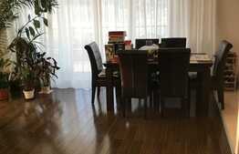 Apartament cu 4 camere, 136 mp, terasa 62mp, parcare, zona Parcul Babes