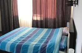 Apartament cu 4 camere, 136 mp, terasa 62mp, parcare, zona Parcul Babes