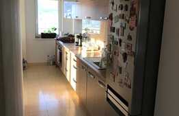 Apartament cu 4 camere, 136 mp, terasa 62mp, parcare, zona Parcul Babes