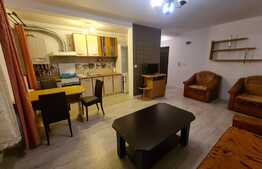 Garsoniera open space, 36mp, etaj intermediar, preluare chiriasi! Zona Vivo! 