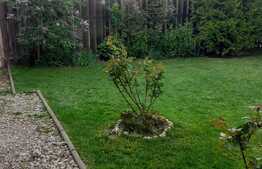 Casa de vanzare, 220 mp, 480 mp teren, zona Stupini