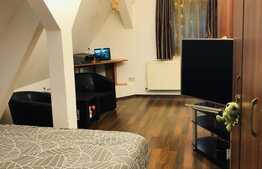 Garsoniera Centru Civic 