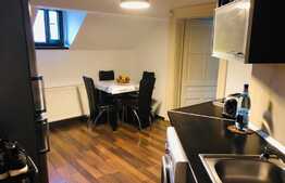 Garsoniera Centru Civic 