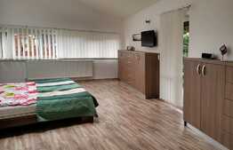 Casa finisata, la cheie, 250 mp utili, 400 mp teren, garaj, Faget!