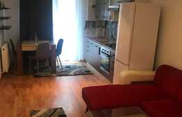 Apartament 2 camere, 40 mp, balcon 4 mp, parcare exterioara, zona Teilor!
