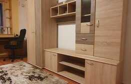 Apartament 1 camera, 32 mp, totul nou, zona strazii Grigore Alexandrescu
