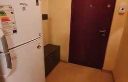 Apartament 1 camera, 32 mp, totul nou, zona strazii Grigore Alexandrescu