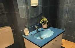 Apartament 1 camera, 32 mp, totul nou, zona strazii Grigore Alexandrescu