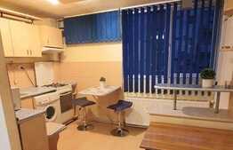 Apartament 1 camera, 32 mp, totul nou, zona strazii Grigore Alexandrescu