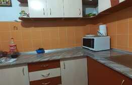 Apartament cu 3 camere, 83mp utili, curte privata, parcare, zona strazii G-ral Traian Mosoiu