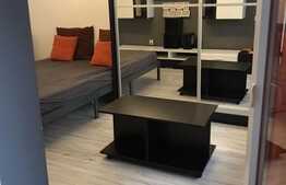 Apartament cochet cu 1 camera decomandat, prima inchiriere, 40 mp, Calea Turzii