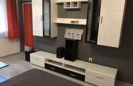 Apartament cochet cu 1 camera decomandat, prima inchiriere, 40 mp, Calea Turzii