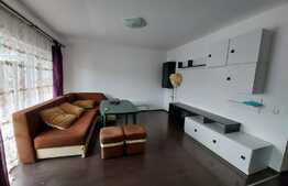 Apartament 2 camere, 50 mp, mobilat, zona Eroilor