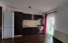 Apartament 2 camere, 50 mp, mobilat, zona Eroilor