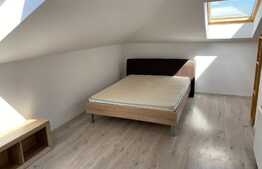 Apartament 2 camere, 58 mp + pod 60mp, zona Florilor!