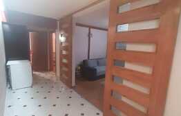 Suprafata generoasa, decomandat, balcon inchis, expunere sudica, parcare, zona Muzeul Apei