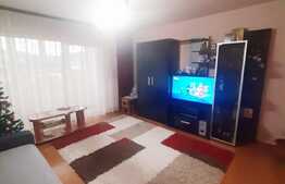 Suprafata generoasa, decomandat, balcon inchis, expunere sudica, parcare, zona Muzeul Apei