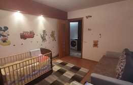 Suprafata generoasa, decomandat, balcon inchis, expunere sudica, parcare, zona Muzeul Apei