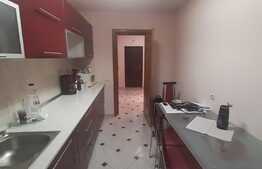 Suprafata generoasa, decomandat, balcon inchis, expunere sudica, parcare, zona Muzeul Apei