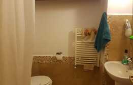 Apartament o camera, 34 mp, zona Avram Iancu