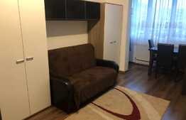 Apartament 1 camera, 30 mp, recent renovat, zona strazii Fabricii