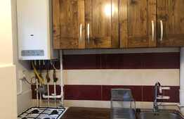 Apartament 1 camera, 30 mp, recent renovat, zona strazii Fabricii