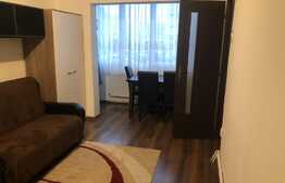 Apartament 1 camera, 30 mp, recent renovat, zona strazii Fabricii