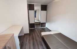 Apartament cu 2 camere, decomandat, 55 de mp, pet friendly, zona strazii Mircea Eliade