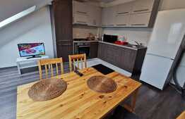 Apartament cu 2 camere, decomandat, 55 de mp, pet friendly, zona strazii Mircea Eliade