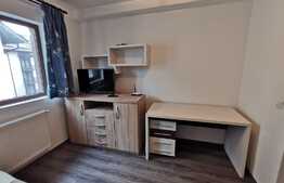 Apartament cu 2 camere, decomandat, 55 de mp, pet friendly, zona strazii Mircea Eliade