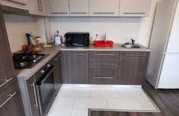 Apartament cu 2 camere, decomandat, 55 de mp, pet friendly, zona strazii Mircea Eliade