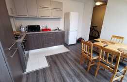 Apartament cu 2 camere, decomandat, 55 de mp, pet friendly, zona strazii Mircea Eliade