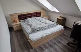 Apartament cu 2 camere, decomandat, 55 de mp, pet friendly, zona strazii Mircea Eliade