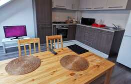 Apartament cu 2 camere, decomandat, 55 de mp, pet friendly, zona strazii Mircea Eliade