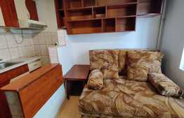 Garsoniera cocheta, 13mp, etaj intermediar, bloc nou, geam la baie, zona Autogara Fany