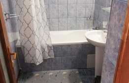 Apartament cu 3 camere decomandat, 75 de mp, pet friendly, zona UMF