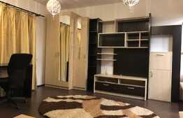 Apartament generos cu 1 camera tip studio, 50 mp, terasa 50mp, zona Leroy Merlin