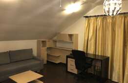 Apartament generos cu 1 camera tip studio, 50 mp, terasa 50mp, zona Leroy Merlin