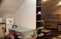 Apartament generos cu 1 camera tip studio, 50 mp, terasa 50mp, zona Leroy Merlin